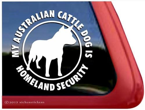 Homeland Security - Ausztrál Szarvasmarha Kutya Heeler Vinil Ablak Matrica