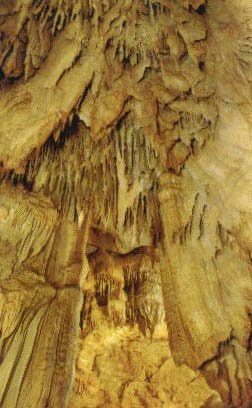 Mamut-Barlang Nemzeti Park, Kentucky Képeslap