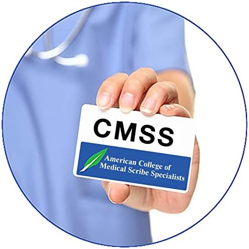 ACMSS™ MSCAT™ Tanúsító Vizsgálati Program