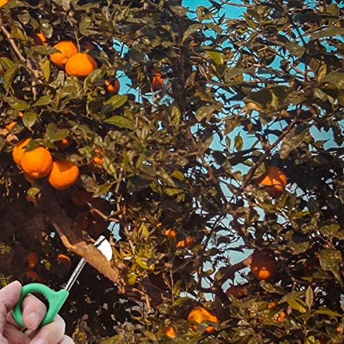 YARNOW 4db Kés Vágó Barack Olló Peeling a Gyümölcs Metszés Licsi Oltása Nyírás Hámozó: Kertészeti Sztriptíz Fa Ugat