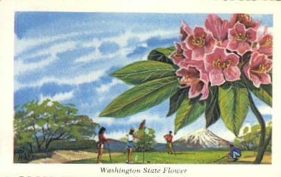 Állami Virág, Washington Képeslap