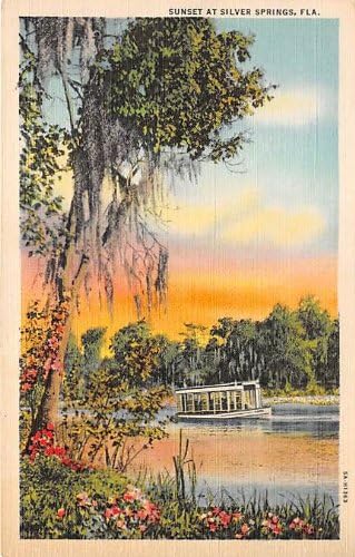 Silver Springs, Florida Képeslap
